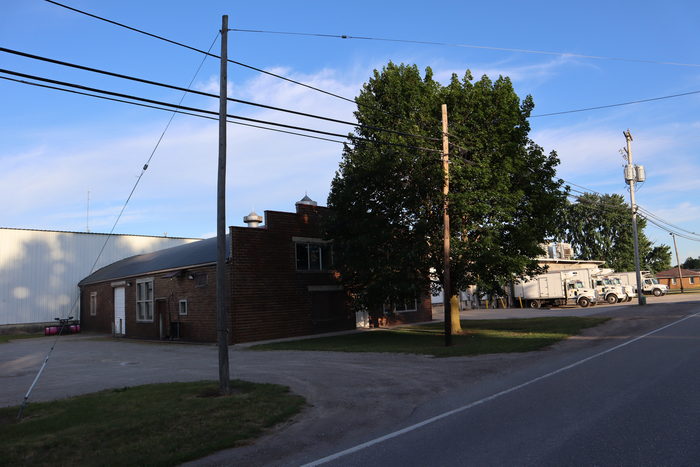 Hemlock - June 2021 (newer photo)